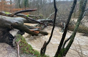 Feuerwehr Ratingen: FW Ratingen: Feuerwehr Ratingen - Sturmbedingte Einsätze