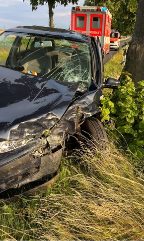 Polizeiinspektion Hildesheim: POL-HI: Baumunfall fordert einen Schwerverletzten