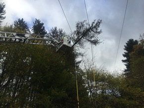 FW Lügde: Technische Hilfe / Baum in 30 KV Leitung