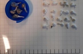 Bundespolizeidirektion Sankt Augustin: BPOL NRW: Mönchengladbach Hbf - Bundespolizisten beschlagnahmen Betäubungsmittel, Messer und Arzneimittel +++Foto+++