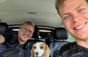 Polizeipr&auml;sidium Offenburg: POL-OG: Rastatt, A5 - Beagle auf Autobahn gerettet - Mit guten Nachrichten ins Wochenende