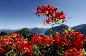 Ticino Turismo: Aufblühen im Tessin - Die schönsten Tessiner Parks im Portrait (BILD/ANHANG)