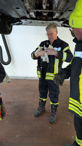 FF Olsberg: Von Hamm bis Olsberg - Katze fährt 75 Kilometer im Motorraum über die A44 mit