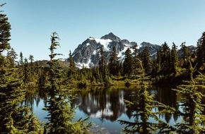 Oehler Web: Erholung und Wohlbefinden dank der Königin der Alpen