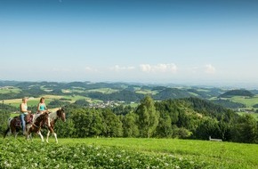 Mühlviertel Marken GmbH: Auf vier Hufen in den Urlaub: Wanderreiten im Mühlviertel - BILD