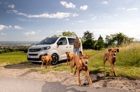 Opel Automobile GmbH: Zum Welthundetag: Auch Vierbeiner lieben den Opel Zafira-e Life