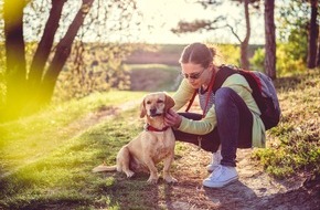 Urlaubsguru GmbH: Presse-Info: Neun Mythen über Zecken und Haustiere