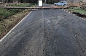 Polizeidirektion Wittlich: POL-PDWIL: spektakulärer Unfall blieb glücklicherweise bei Sachschaden