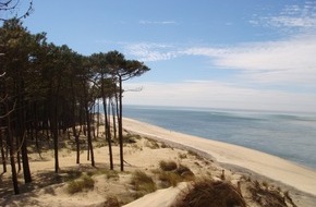 ifemedi GmbH: Neue Hoffnung bei Lip&ouml;dem: Nat&uuml;rlicher Pflanzenextrakt aus Meereskiefernrinde zeigt in Studie deutliche Wirkung