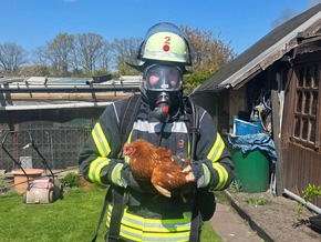 FW Celle: Mehrere Gartenlauben brennen in Vollbrand - Feuerwehr rettet H&uuml;hner!