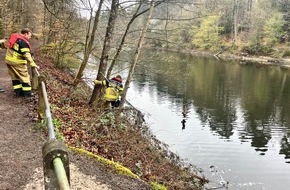 Feuerwehr Stuttgart: FW Stuttgart: Tierrettung durch die Wasserrettungseinheit - Str&ouml;mungsretter der Feuerwehr im Einsatz - Kauz gerettet und dem Tiernotdienst &uuml;bergeben
