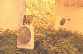 Polizeidirektion Hannover: POL-H: Garbsen: Polizei hebt Cannabis-Großplantage aus