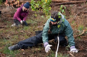 Bergwaldprojekt e.V.: 250 Freiwillige pflanzen mit dem Bergwaldprojekt im April und Mai in Braunlage 10.000 standortheimische B&auml;ume