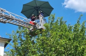 Feuerwehr Dresden: FW Dresden: Informationen zum Einsatzgeschehen der Feuerwehr Dresden vom 9. bis 11. Juni 2023