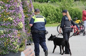 Bundespolizeiinspektion Rostock: BPOL-HRO: Schwerpunkteinsätze an Rostocker Verkehrsstationen zur Bekämpfung von Gewaltdelikten