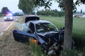 Polizeidirektion Landau: POL-PDLD: Baumunfall nach Schwächeanfall (2)