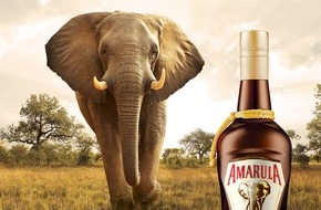 TERRITORY: Etatgewinn | TERRITORY webguerillas wird Lead-Agentur von Amarula