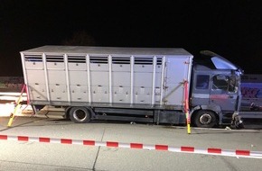 Polizei Bielefeld: POL-BI: Paderborn-Sennelager, Unfall mit Viehtransporter BAB A33