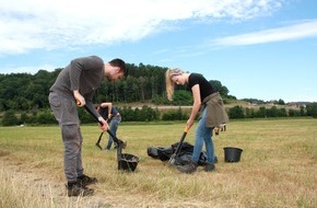 Bergwaldprojekt e.V.: Im Naturpark Spessart entfernen Freiwillige des Bergwaldprojekts giftiges Wasser-Kreuzkraut