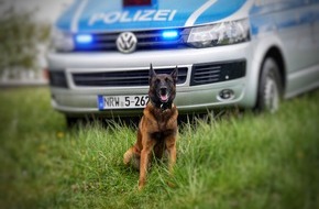 Polizei Hagen: POL-HA: Diensthund beißt zu - Diebe im Lennetal gestellt