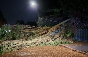 Freiwillige Feuerwehr Werne: FW-WRN: F&uuml;nf sturmbedingte Eins&auml;tze nach Unwetter im Stadtgebiet