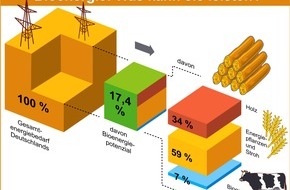 FNR Fachagentur Nachwachsende Rohstoffe: Bioenergie: ungeahnte Perspektiven! / Potenziale deutlich nach oben korrigiert