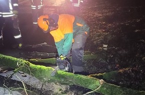 Feuerwehr Schermbeck: FW-Schermbeck: Baum in Telefonleitung