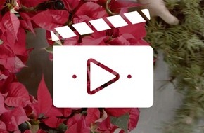 Stars for Europe GbR: Blumige DIY-Ideen für die Adventszeit: Top-Floristen präsentieren in neuen Videos Dekoideen mit Weihnachtssternen