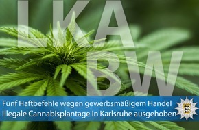 Landeskriminalamt Baden-Württemberg: LKA-BW: Gemeinsame Pressemitteilung der Staatsanwaltschaft Heidelberg und des Landeskriminalamts Baden-Württemberg - Illegale Cannabisplantage in Karlsruhe ausgehoben