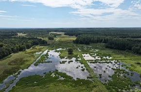 Deutsche Bundesstiftung Umwelt (DBU): DBU: Mehr Tempo bei der Wiedervern&auml;ssung &ndash; Welttag der Feuchtgebiete am 2. Februar