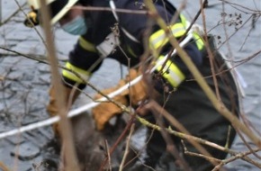 Polizeiinspektion Goslar: POL-GS: Pressebericht des Einsatz- und Streifendienstes der Polizeiinspektion Goslar von Fr, 15.01.2021, 12:00 Uhr bis So, 17.01.2021, 12:00 Uhr