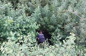 Polizeidirektion Lübeck: POL-HL: HL-St. Lorenz Nord / Spaziergänger entdeckt hilflose Person im Landgraben