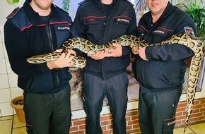 Feuerwehr Böblingen: FW Böblingen: Erster Einsatz für die Fachgruppe Schlangen und Reptilien