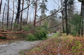 Feuerwehr Schermbeck: FW-Schermbeck: Sturmschaden auf dem Meesenmühlenweg