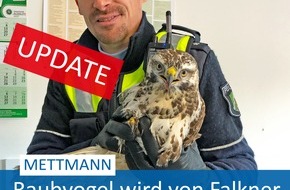 Polizei Mettmann: POL-ME: Update zu "tierischem Einsatz": Raubvogel wird wieder aufgepäppelt - Mettmann - 1912024