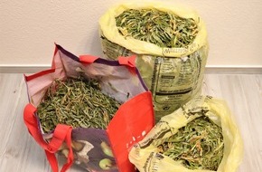 Kreispolizeibehörde Höxter: POL-HX: 2,5 Kilo Cannabis-Blätter in einer Wohnung gefunden