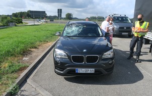 Polizeiinspektion Delmenhorst / Oldenburg - Land / Wesermarsch: POL-DEL: Autobahnpolizei Ahlhorn: Hoher Sachschaden nach Kollision mit Pfau auf der Autobahn 1 im Bereich der Stadt Lohne