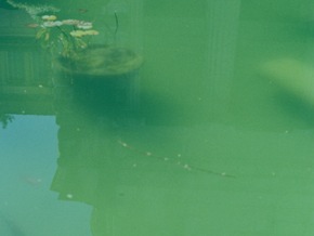 Die Uhr des Krieges – ein Ukrainische Fototagebuch