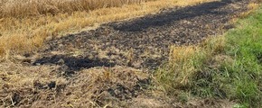 Kreispolizeibehörde Rhein-Kreis Neuss: POL-NE: Ermittler suchen Zeugen nach Brand auf Feld