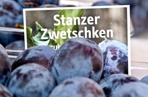 Ferienregion TirolWest: Stanz brennt und Genussfestwoche "Stanzer Zwetschke" - BILD