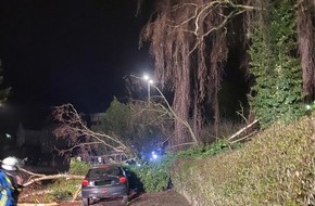 Polizeidirektion Koblenz: POL-PDKO: Baum fällt auf parkenden PKW