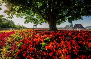 Bundesgartenschau Erfurt 2021 gGmbH: BUGA Erfurt startet durch