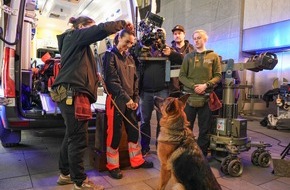 SAT.1: Abschied mit doppeltem Wau-Effekt! SAT.1 zeigt zum "Kommissar Rex"-Finale eine Rex-Doku