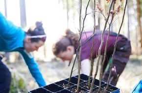 Bergwaldprojekt e.V.: 25 Mitarbeitende von Alstom in Wehretal bei Kassel mit dem Bergwaldprojekt im Einsatz f&uuml;r naturnahe W&auml;lder