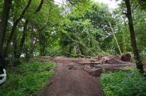 Polizeiinspektion Verden / Osterholz: POL-VER: Naturdenkmal massiv beschädigt (Foto)