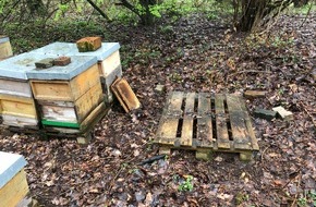 Polizei Mettmann: POL-ME: Bienenvölker entwendet - die Polizei ermittelt - Ratingen - 2104047