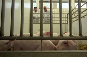 ZDF: Killer-Keime: "planet e." im ZDF über Antibiotika-Resistenzen (FOTO)