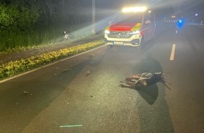 Polizei Coesfeld: POL-COE: Olfen, B235/Motorradfahrer kollidiert mit Reh