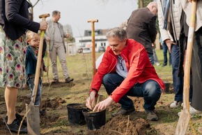 BAUHAUS pflanzt Waldinsel in Mannheim-Sch&ouml;nau