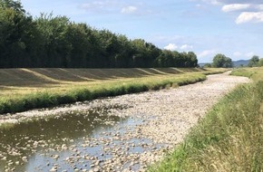 Universität Koblenz: Wenn der Klimawandel den Stöpsel zieht: Sinkt das Grundwasser, versickern Bäche und Flüsse und verschmutzen das Trinkwasser